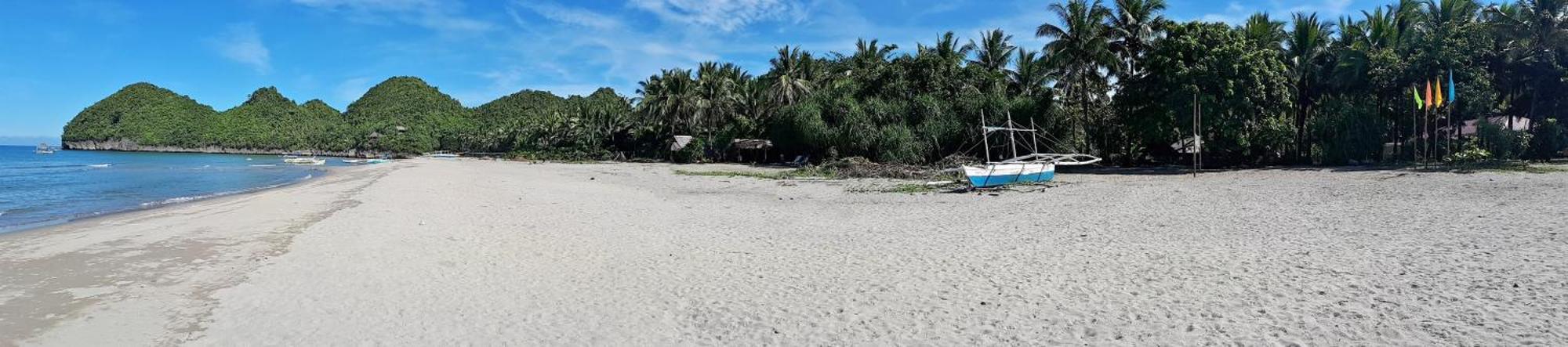 Big Bamboo Beach Resort Sipalay Buitenkant foto