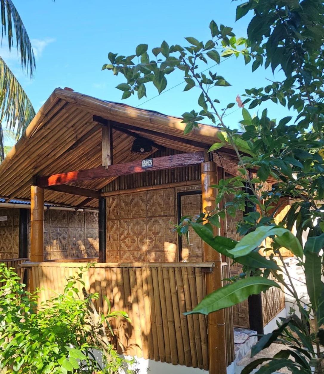 Big Bamboo Beach Resort Sipalay Buitenkant foto